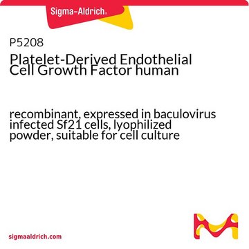 Platelet-Derived Endothelial Cell Growth Factor