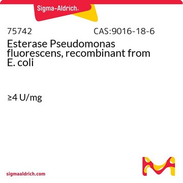 Esterase Pseudomonas fluorescens, recombinant from