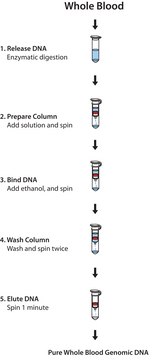 GenElute™ Blood Genomic DNA Kit