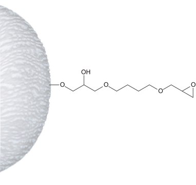 Epoxy-activated-Agarose