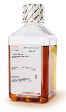 Terrific Broth