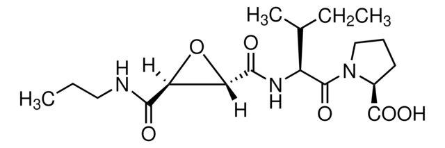CA-074