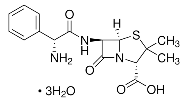 AMPICILLIN TRIHYDRATE, UNITED STATES PHA