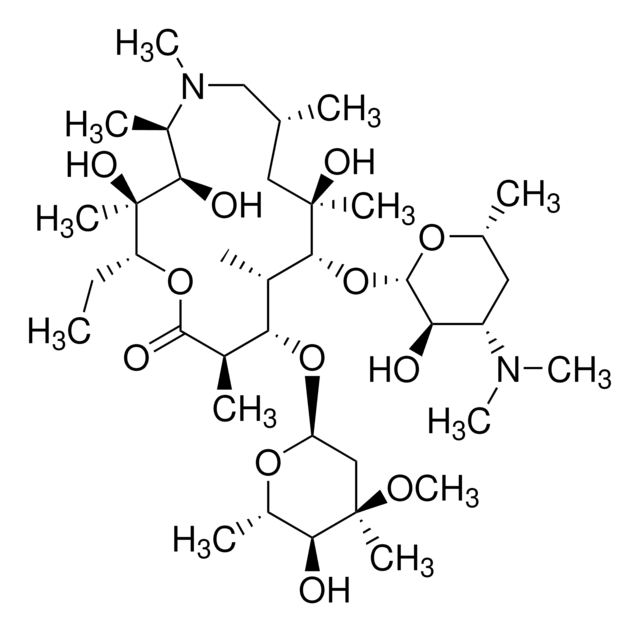 AZITHROMYCIN IDENTITY