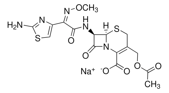 CEFOTAXIME SODIUM, UNITED STATES PH
