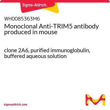 Monoclonal Anti-TRIM5 antibody produced in