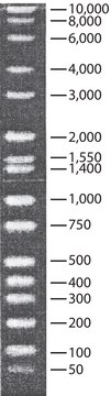 DirectLoad™ Wide Range DNA Marker