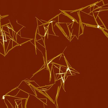 Silver nanowires