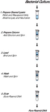 GenElute™ Plasmid Miniprep Kit