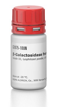 ?-Galactosidase from bovine liver