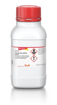 Tris-Borate-EDTA buffer