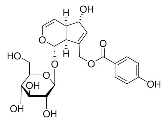 AGNUSIDE, UNITED STATES PHARMACOPEIA (US