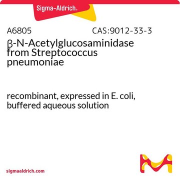 ?-N-Acetylglucosaminidase from Streptococcus pneumoniae