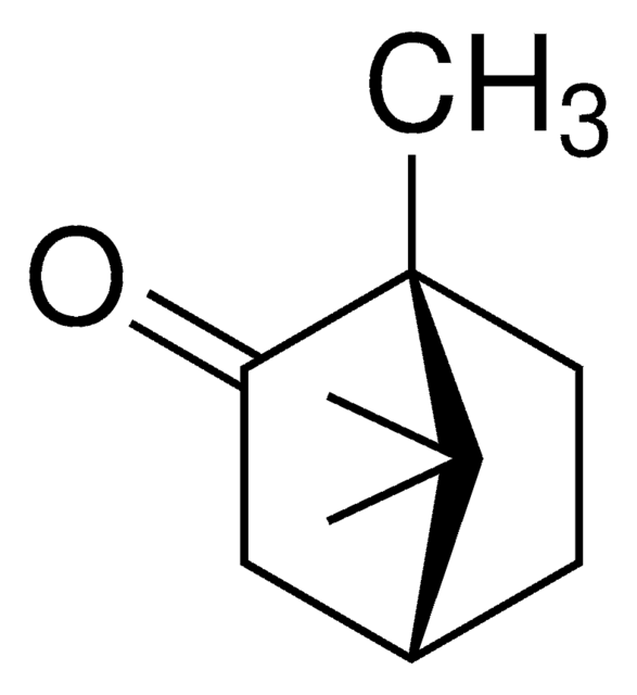 CAMPHOR