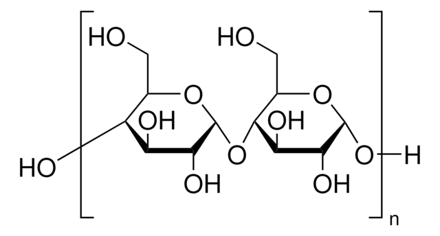 Starch from potato