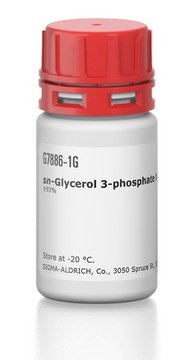 sn-Glycerol 3-phosphate bis(cyclohexylammonium) salt