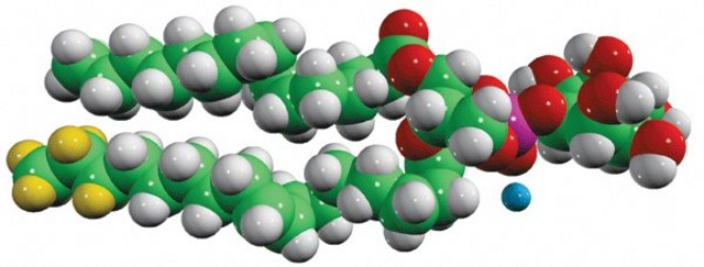 15:0-18:1-d7-PI