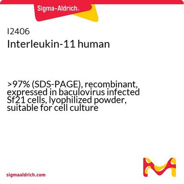 Interleukin-11 human