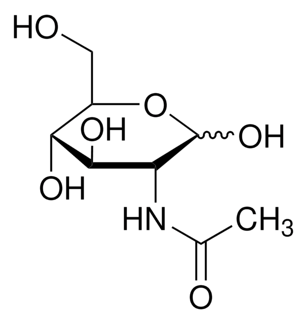 N-ACETYLGLUCOSAMINE, UNITED STATES PHARM
