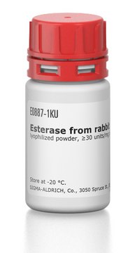 Esterase from rabbit liver