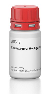 Coenzyme A–Agarose