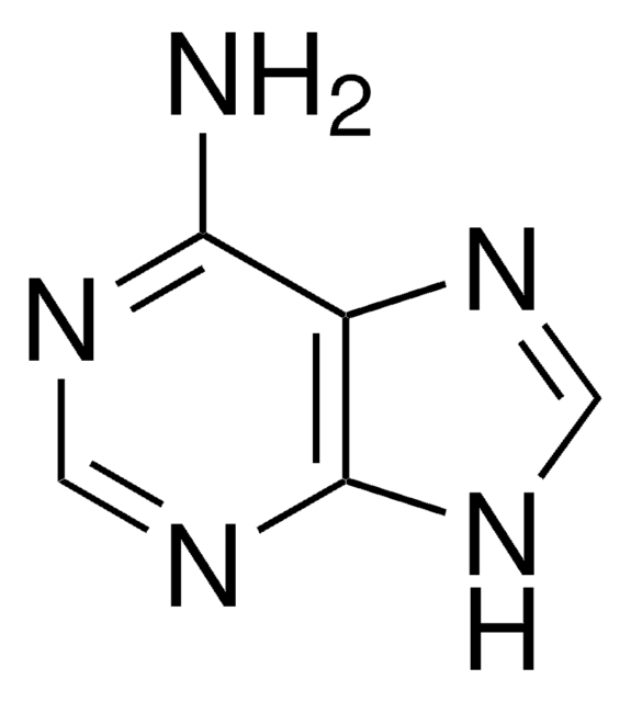 ADENINE, UNITED STATES PHARMACOPEIA (USP