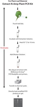REDExtract-N-Amp™ Plant PCR Kit