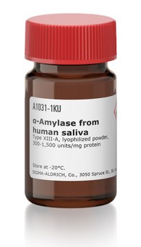 ?-Amylase from human saliva