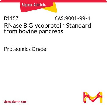 RNase B Glycoprotein Standard from
