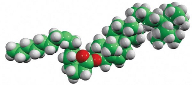 15:0 cholesteryl-d7 ester