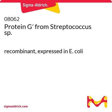 Protein G? from Streptococcus sp.