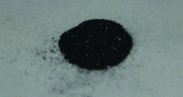 Bis(dibenzylideneacetone)palladium(0)
