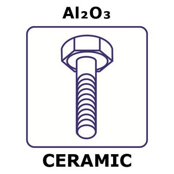 ALUMINA, BOLT, SIZE M3 X