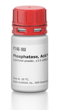 Phosphatase, Acid from potato