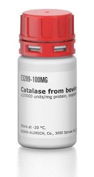 Catalase from bovine liver