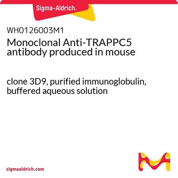Monoclonal Anti-TRAPPC5 antibody produced in