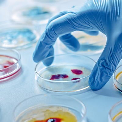 Microbiology