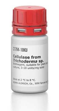 Cellulase from Trichoderma sp.