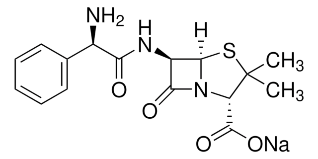 AMPICILLIN SODIUM, UNITED STATES PHARMAC