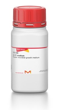 2x YT medium
