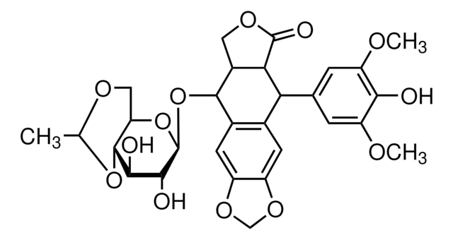 Etoposide