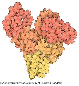 Bovine Serum Albumin
