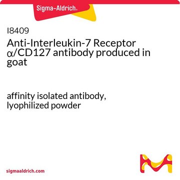 Anti-Interleukin-7 Receptor ?/CD127 antibody produced
