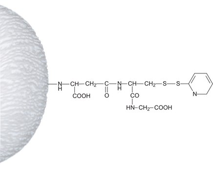 Activated Thiol–Sepharose™ 4B